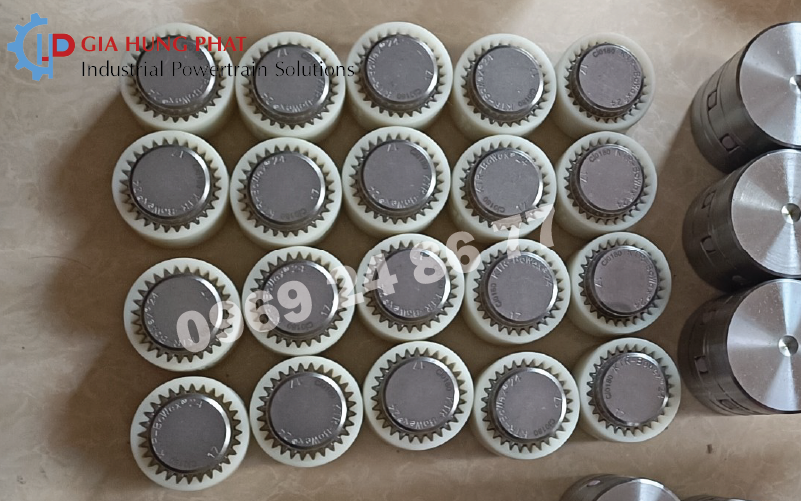 khớp nối răng Bowex M KTR
