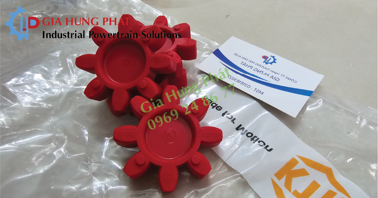 vòng đệm rotex GS KTR (2)