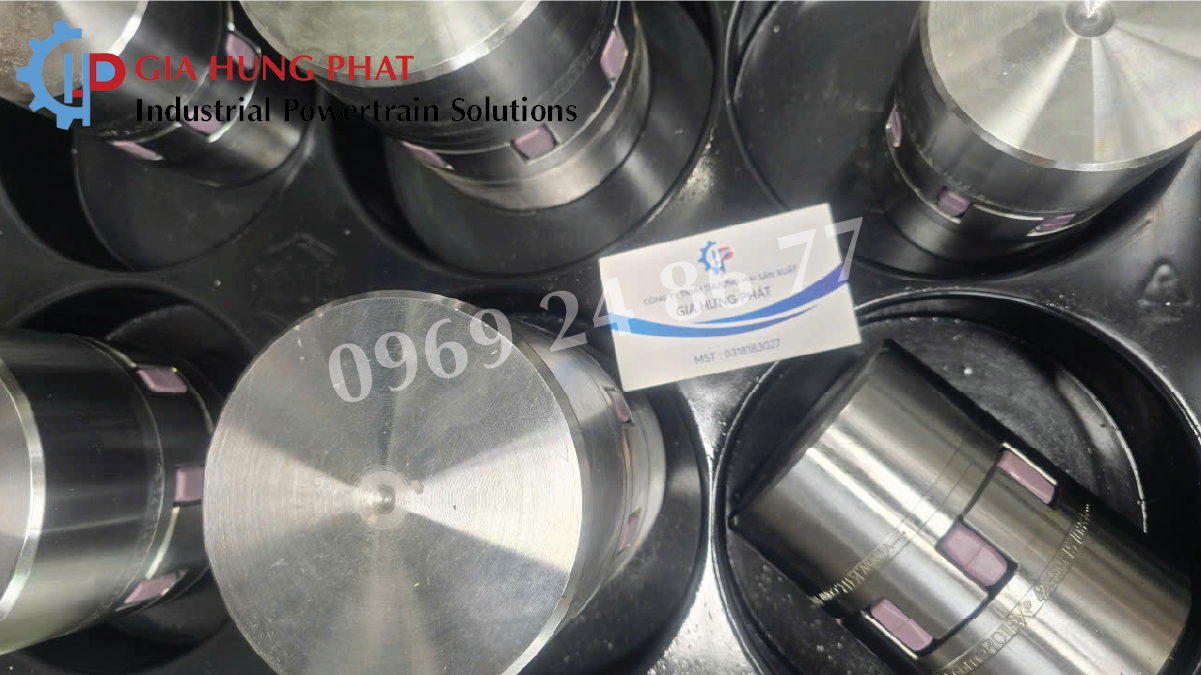 Khớp nối Rotex KTR cho hộp giảm tốc